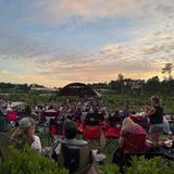 Concert Series