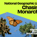 National Geographic Live: Chasing Monarchs