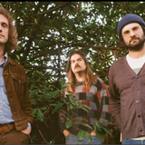 Triptides