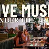 LIVE MUSIC