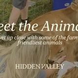 Meet The Animals