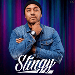 DJ Stingy