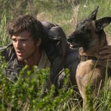 The Dog Stars