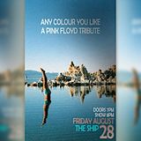 Any Colour You Like: A Pink Floyd Tribute