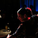 Noches de Flamenco