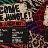 Welcome to the Jungle