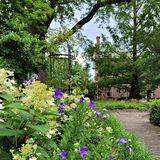 The Mayor’s Garden: History of the Ten Broeck Mansion Gardens & Workers
