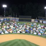 Scout Night