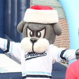 UMaine Night