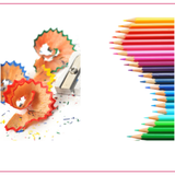 Color Pencil Workshop for Beginners