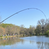 Annual Trout Rodeo