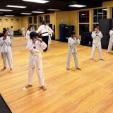 Junior Tigers