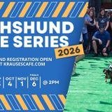 Dachshund Races