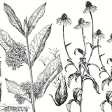 Restoring Our Landscapes