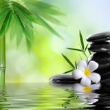 Meditation Workshop - Falun Dafa Meditation