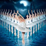 World Ballet Company: Swan Lake