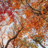 Hike & Brew Broadmoor Wildlife Sanctuary