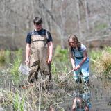 Wetland Detectives: What's Under the Surface?