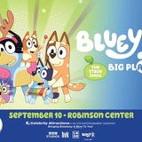 BLUEY'S BIG PLAY