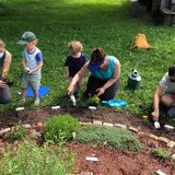 Wednesdays in the Garden