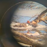 The Art of Birding with Chuck Stebelton