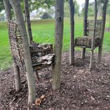 Slow Growing in the Time of Trees: A Tree and Mushroom Walk