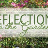 Reflections in the Garden