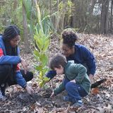 Arbor Day and Tree Giveaway
