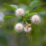 Discover Nature: Overwintering Habitats for Beneficial Insects