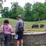 Trail Trek: Guided VA Wildlife Trail Tour