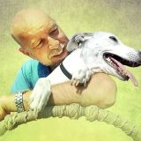 Abby's List: A Dogumentary (MAC Film Series)