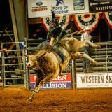 family-friendly rodeo and live music series