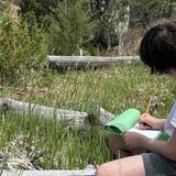 Art and Nature Journal Workshop