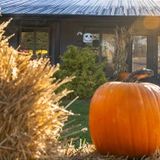 Pumpkin Pic-A-Nic Weekend