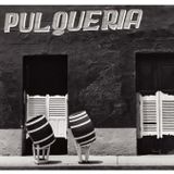 Visita guiada con la curadora: Instante/revelación (español)