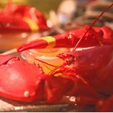 Lobster Night