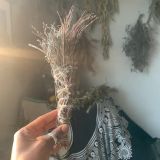 Aromatherapy Incense Workshop by BlackMajesTEA
