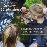Sensory Celebration