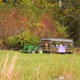 Fall Fun by the Fire - Celebrating Fall Color