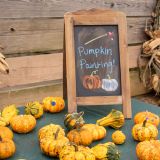 Fall Fun by the Fire - Pits & Pumpkins