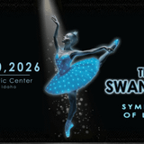 Swan Lake: Symphony of Lights
