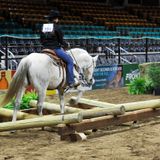 Horse Exhibitors