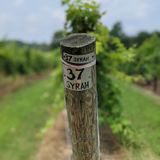 Public 2 or 3 Vineyard Tours