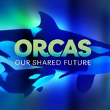 Orcas: Our Shared Future