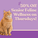 50% Off Senior Feline Wellness on Thursdays!