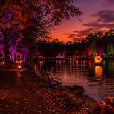Fright Lights