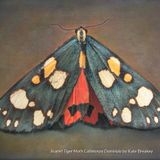 Art Exhibit: Sublime Nature: Kate Breakey and Tony Hochstetler