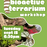 Bioactive Terrarium Workshop