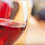 Summer Saturdays in the Wine Garden