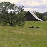 IN A LANDSCAPE: Classical Music in the Wild